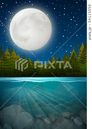 Underwater forest background scene Underwater forest background scene 54115050