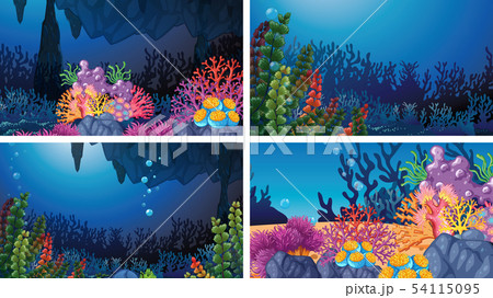 Set Of Underwater Coral Scenesのイラスト素材