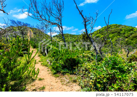 辰ノ島　【長崎県壱岐市】 54117075