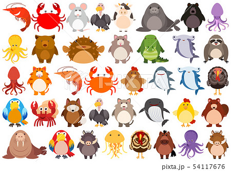 Set of cute animal character Set of cute animal character 54117676