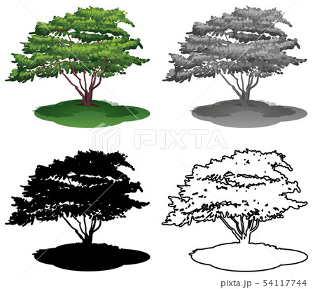 Set of tree on white background 54117744