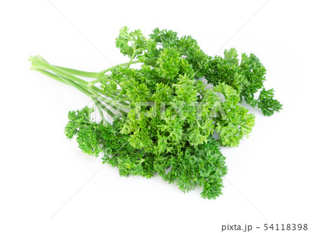 Parsley vegetable isolated on white background 54118398