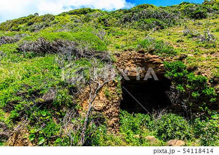 辰ノ島（鬼子の巌：防空壕）　【長崎県壱岐市】 54118414