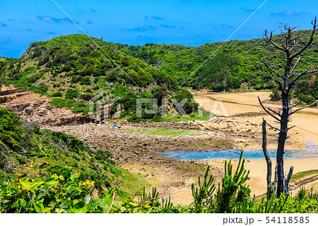 辰ノ島（見返り坂から海水浴場の眺め）　【長崎県壱岐市】 54118585