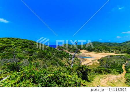 辰ノ島（見返り坂から海水浴場の眺め）　【長崎県壱岐市】 54118595