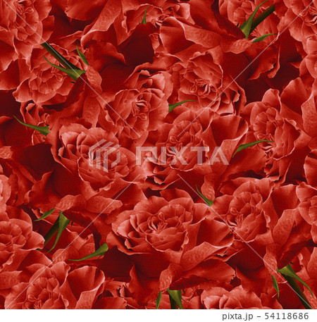 Vintage floral red  beautiful background.  Flower 54118686
