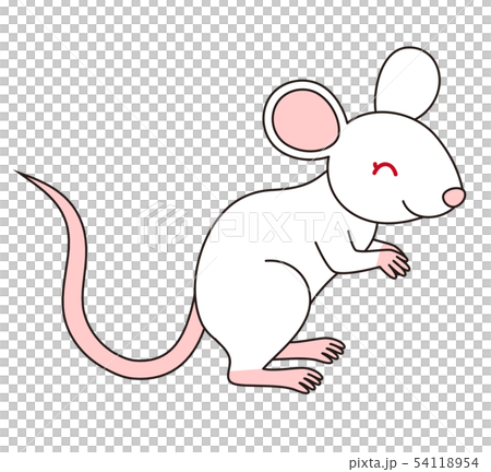シンプルで程よくリアルなタッチのネズミのイラスト ベクター シンプルで程よくリアルなタッチのネズミのイラスト ベクター 54118954