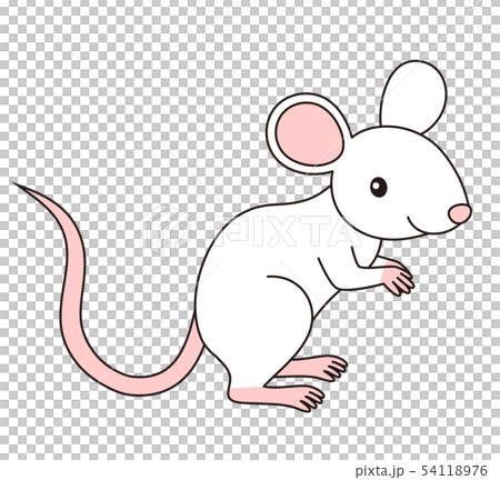 シンプルで程よくリアルなタッチのネズミのイラスト ベクターのイラスト素材