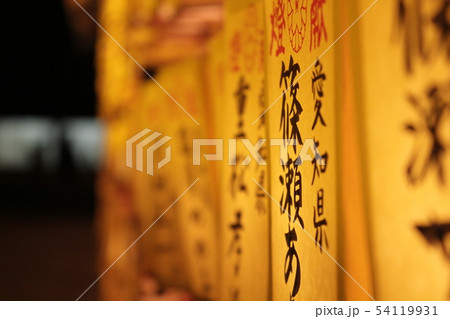 夜に映える提灯 54119931