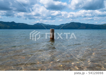 初夏の湖の浅瀬から突き出る杭 54120098