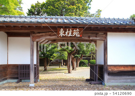 東桂苑 関川村指定文化財 日本瓦葺寄棟造り 木造二階建て 東桂苑 関川村指定文化財 日本瓦葺寄棟造り 木造二階建て 54120690