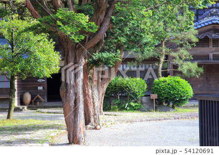 東桂苑　関川村指定文化財　日本瓦葺寄棟造り　木造二階建て 54120691