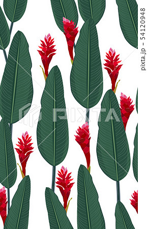 Seamless pattern tropical leaves with red ginger 54120948