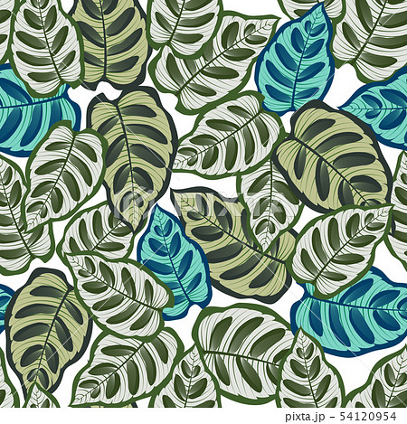 Seamless pattern with tropical leaves 54120954