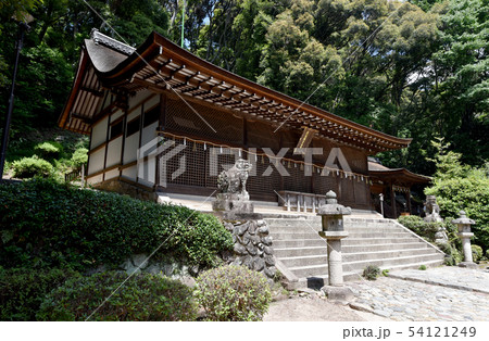 宇治上神社 本殿 宇治上神社 本殿 54121249