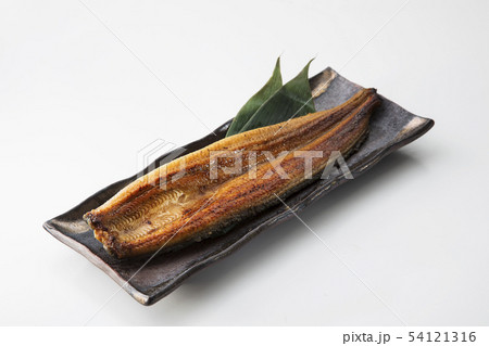 うなぎ うなぎ 54121316