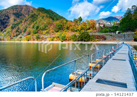 東京 奥多摩 紅葉の小河内ダム ドラム缶橋 東京 奥多摩 紅葉の小河内ダム ドラム缶橋 54121437