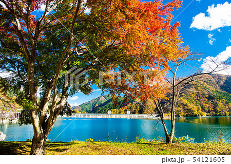 東京 奥多摩 紅葉の小河内ダム 54121605
