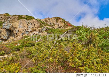 秋の尾瀬 オヤマ沢田代と小至仏山との中間地点所から小至仏山方面 54121841