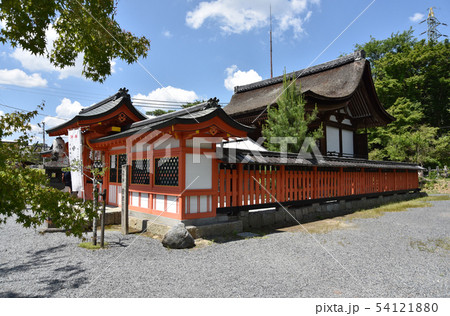 宇治神社　本殿 54121880