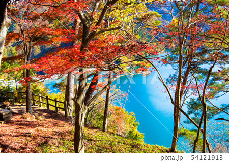 東京 奥多摩 紅葉の小河内ダム 八方岩展望台からの眺望 東京 奥多摩 紅葉の小河内ダム 八方岩展望台からの眺望 54121913