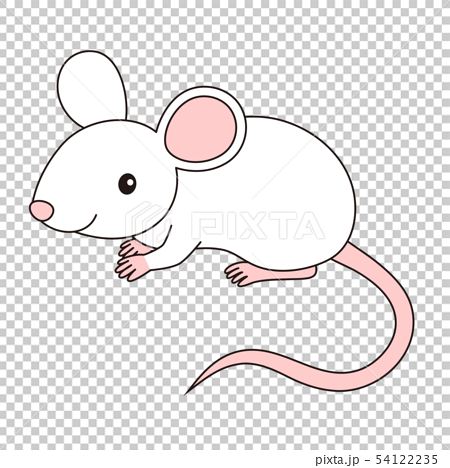 ねずみ イラスト Mouseのイラスト素材