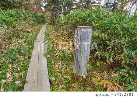 尾瀬 鳩待峠側の(1850m付近) 至仏山への登山道道標 54122381