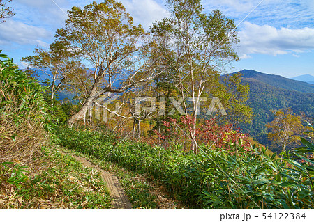 秋の尾瀬 至仏山登坂中(1850m付近)の南側（西山、黒檜山方面）眺望 54122384