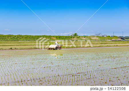 田植機による田植え作業苗と残雪の栗駒山 54122506
