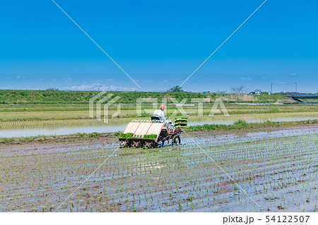 田植機による田植え作業苗と残雪の栗駒山 田植機による田植え作業苗と残雪の栗駒山 54122507