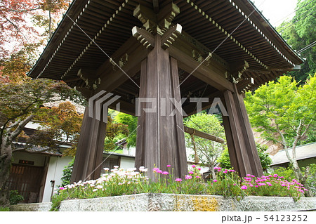 鎌倉 海蔵寺 花の寺 鎌倉 海蔵寺 花の寺 54123252
