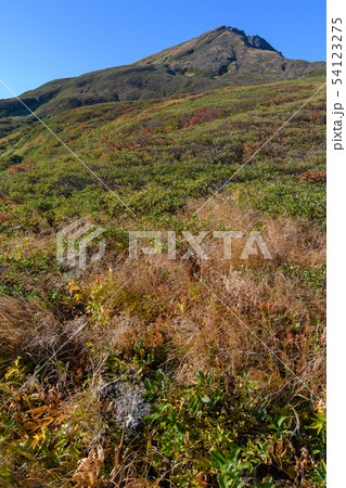 康新道から見た初秋の鳥海山 54123275