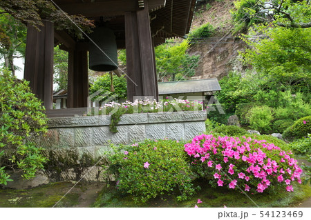 鎌倉　海蔵寺　花の寺 54123469