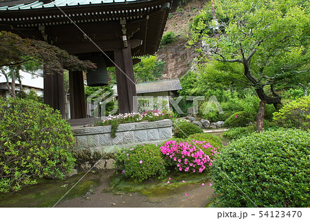 鎌倉　海蔵寺　花の寺 54123470