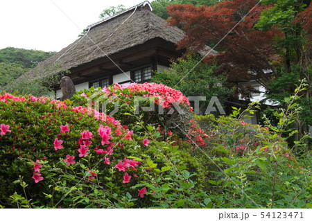 鎌倉　海蔵寺　花の寺 54123471