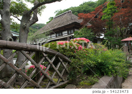 鎌倉　海蔵寺　花の寺 54123473