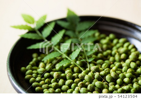 山椒の実 54123504