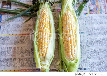 とうもろこし　2本 54123529