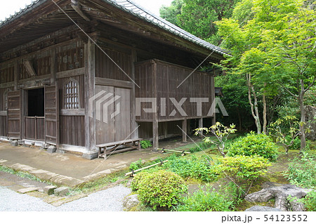 鎌倉　海蔵寺　花の寺 54123552