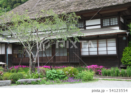 鎌倉 海蔵寺 花の寺 鎌倉 海蔵寺 花の寺 54123554