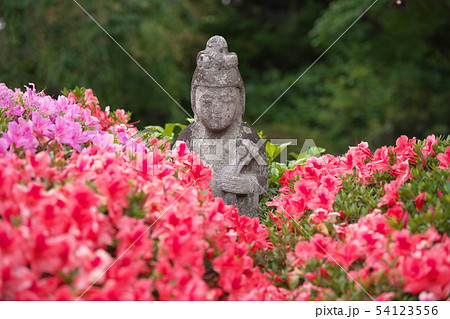 鎌倉 海蔵寺 花の寺 鎌倉 海蔵寺 花の寺 54123556