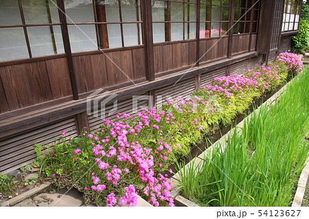 鎌倉 海蔵寺 花の寺 鎌倉 海蔵寺 花の寺 54123627