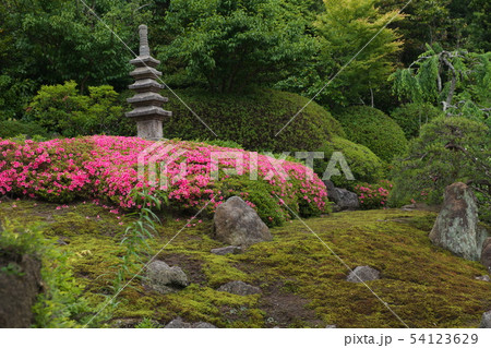 鎌倉　海蔵寺　花の寺 54123629