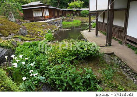 鎌倉 海蔵寺 花の寺 鎌倉 海蔵寺 花の寺 54123632