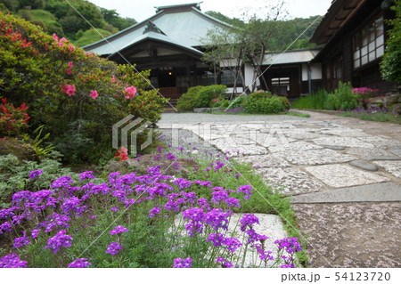 鎌倉　海蔵寺　花の寺 54123720