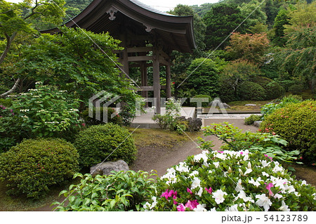 鎌倉 海蔵寺 花の寺 鎌倉 海蔵寺 花の寺 54123789