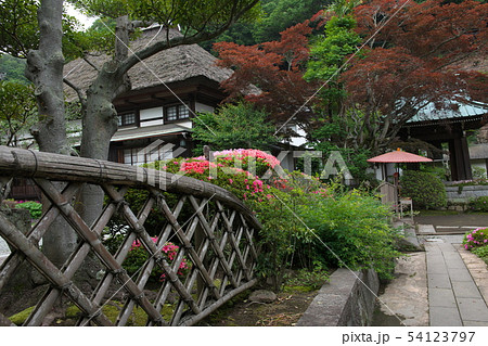 鎌倉　海蔵寺　花の寺 54123797