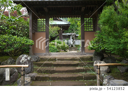 鎌倉 海蔵寺 花の寺 鎌倉 海蔵寺 花の寺 54123852