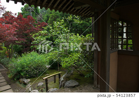 鎌倉 海蔵寺 花の寺 鎌倉 海蔵寺 花の寺 54123857