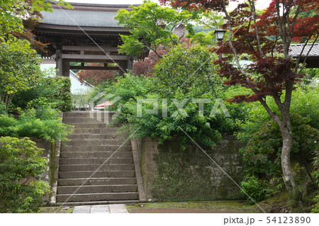 鎌倉　海蔵寺　花の寺 54123890